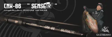 CNX-86 SENSE