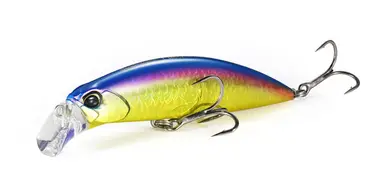 Beach Walker Fulcrum 95S
