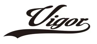 ヴィガー (Vigor) DVSLJ-C602ML