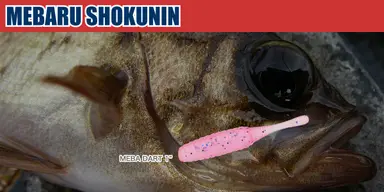 メバル職人 メバダート 1インチ