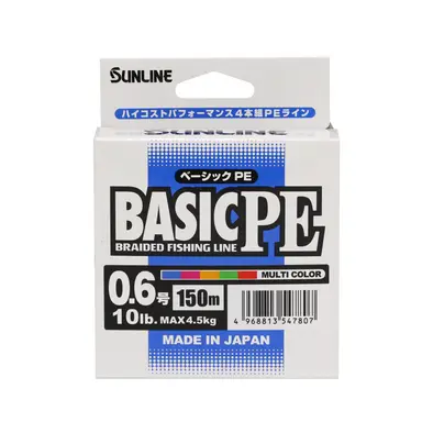 BASIC PE