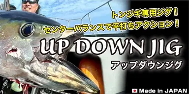 UP DOWN JIG 400g