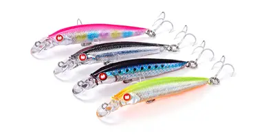 PY Shallow Minnow