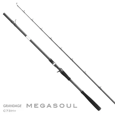 GRANDAGE MEGASOUL C73H+