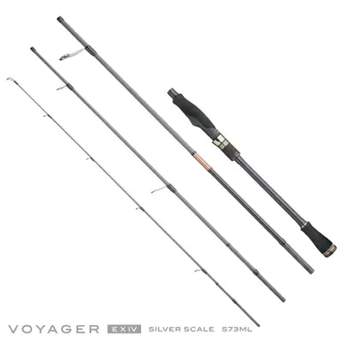 VOYAGER EXIV SILVER SCALE S73ML