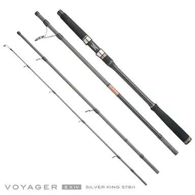 VOYAGER EXIV SILVER KING S78H