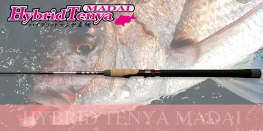 HYBRID TENYA MADAI HTM710ML
