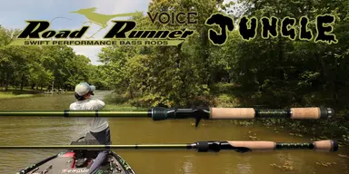 Road Runner VOICE JUNGLE 760JH