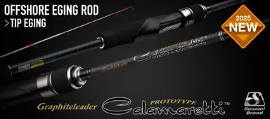 CALAMARETTI PROTOTYPE TIP EGING 26GCALPS-6102MH-HS+