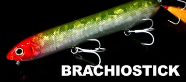 BRACHIOSTICK