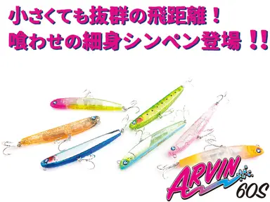 アービン 60S