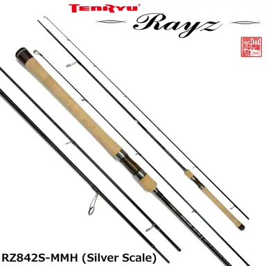 Rayz RZ842S-MMH