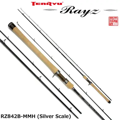 Rayz RZ842B-MMH