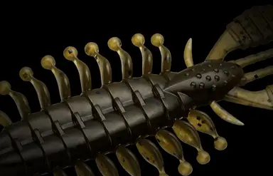 ゾワゾワ 3.5"