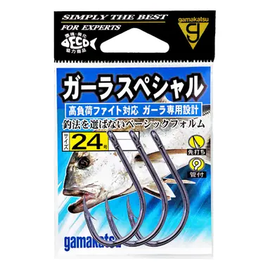 ガーラスペシャル 24