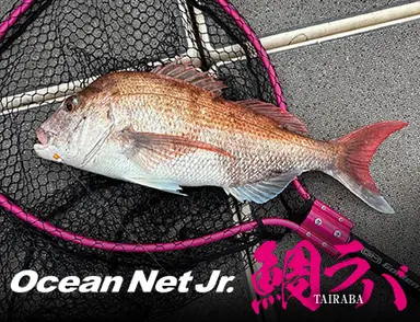 オーシャンネット Jr. 〈鯛ラバ〉