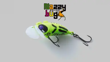 Nazzy bug