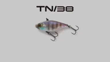 ティーエヌ38 TN38