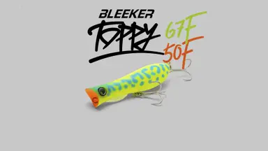 BLEEKER TOPPY 67F