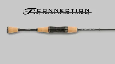 ティーコネクション エリア TCA-S55LML-ST