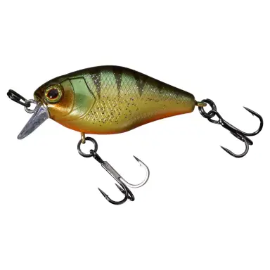 Chubby 41 SR
