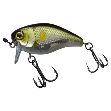 Chubby 41 SSR