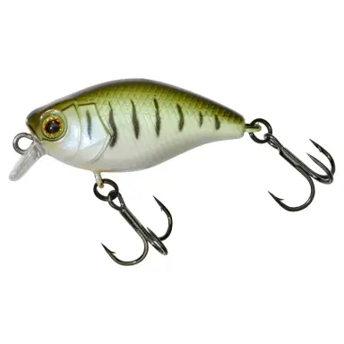 Micro Chubby 30