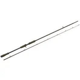 SG4 Fast Game BC 2.21m 154g 20-60g