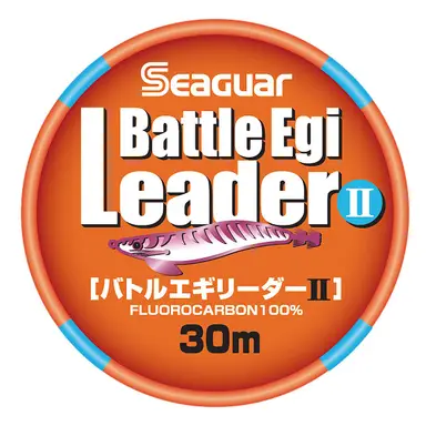 シーガー バトルエギリーダーII 30m 2号