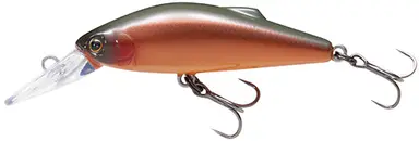 Buffet Lilly (Native Trout) BULI45
