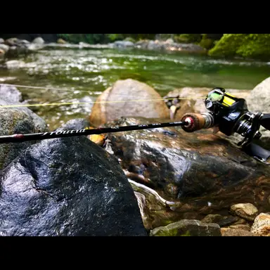 Troutia stream model