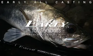 EARLY 97MMH for Seabass