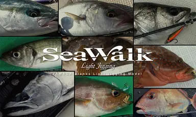 SeaWalk Light Jigging B66L