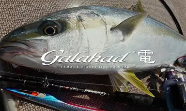 Galahad 雷 Galahad 624B 電動