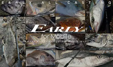 EARLY 84ML/4pcs for Mobile