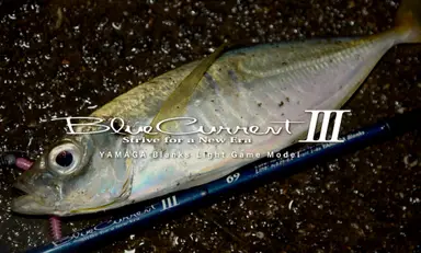 Blue Current III BlueCurrent III 82/B