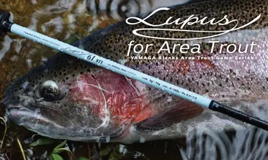 Lupus Area Trout Lupus 66RS
