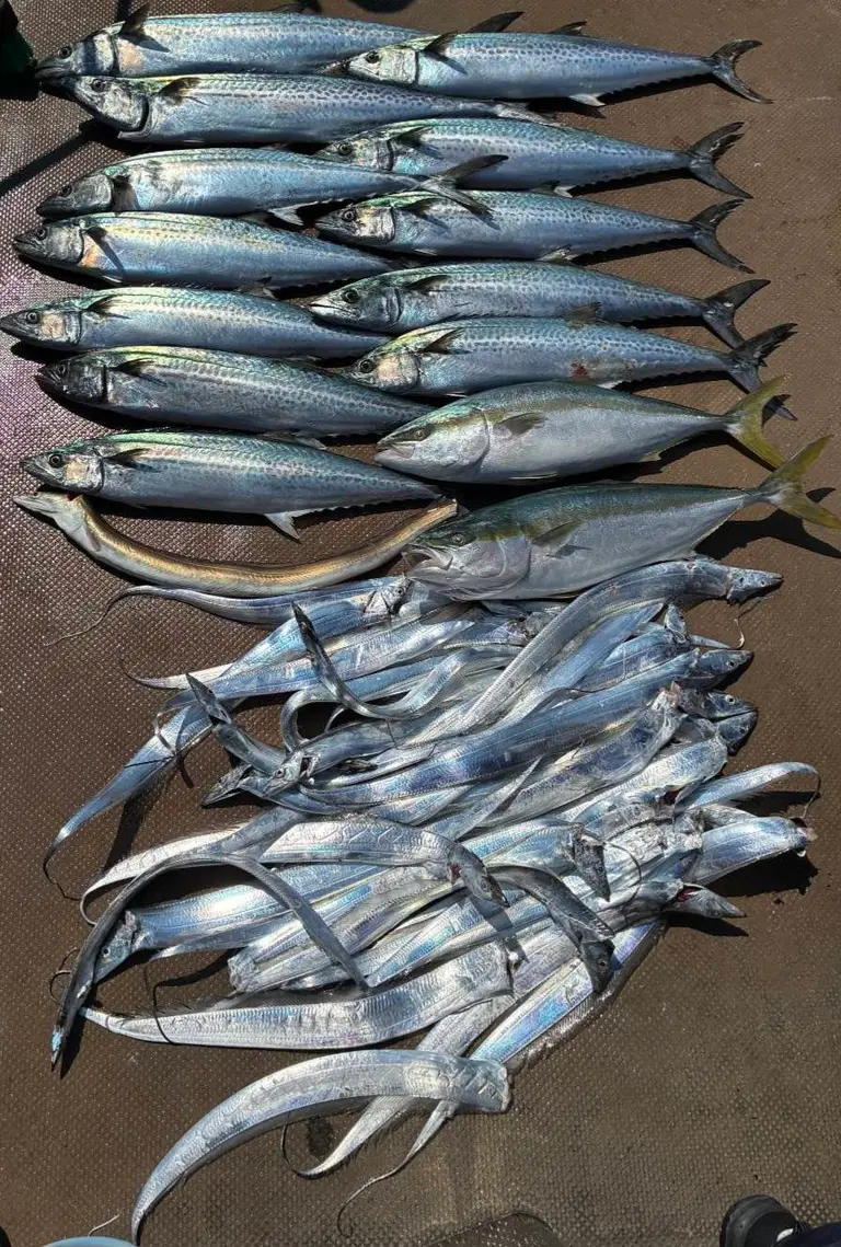 釣果